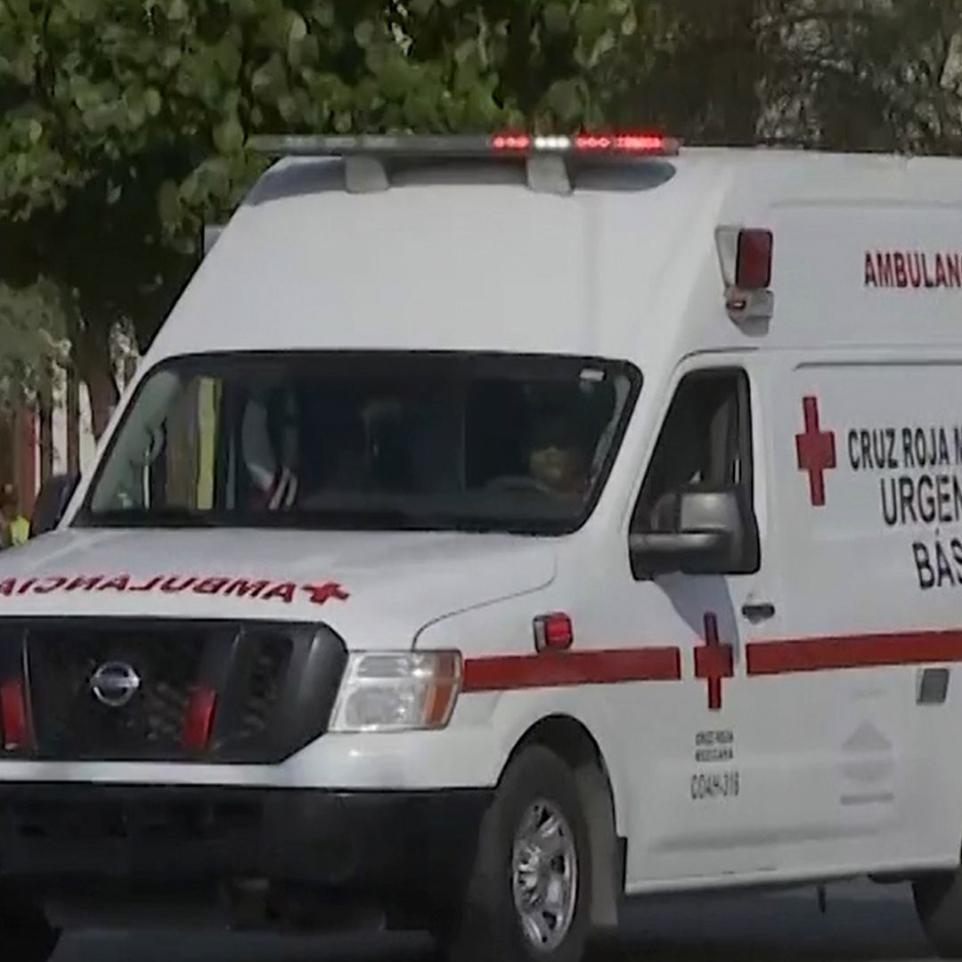 Abejas Atacan a Hombre de 87 Años en Ejido El Perú en Torreón, Coahuila